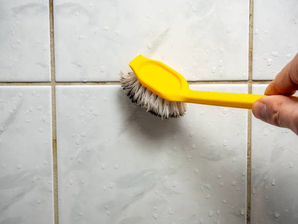 Best Black Mold Removal  in Colwich, KS