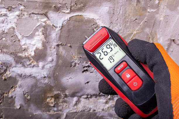 Best Mold Testing  in Colwich, KS