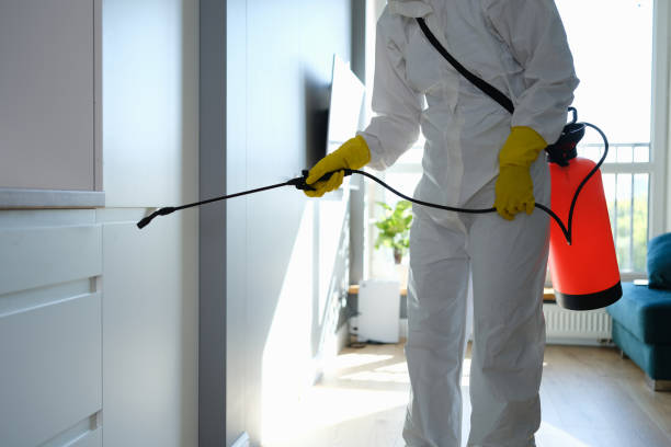 Best Attic Mold Removal  in Colwich, KS