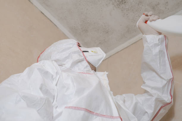 Best Water Damage Restoration  in Colwich, KS