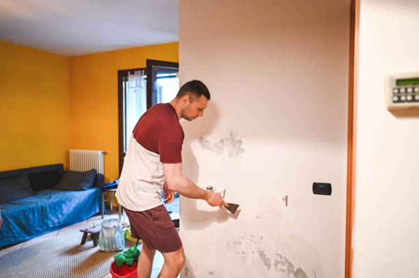 Best Mold Remediation  in Colwich, KS